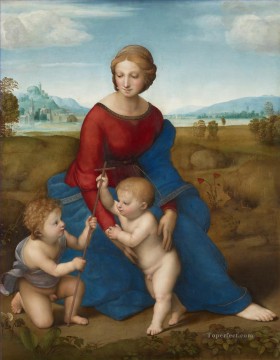 ベルヴェデーレの聖母 マドンナ・デル・プラート ルネサンスの巨匠 ラファエロ Oil Paintings
